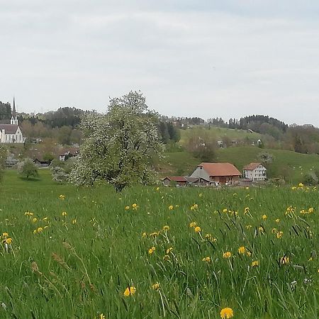 Billenberghof Apartamento St. Gallen Exterior foto