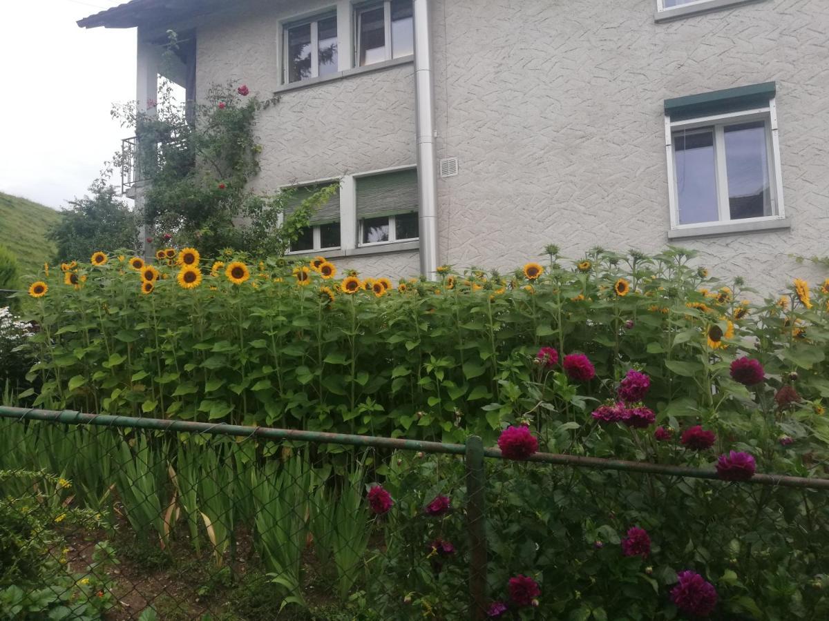 Billenberghof Apartamento St. Gallen Exterior foto