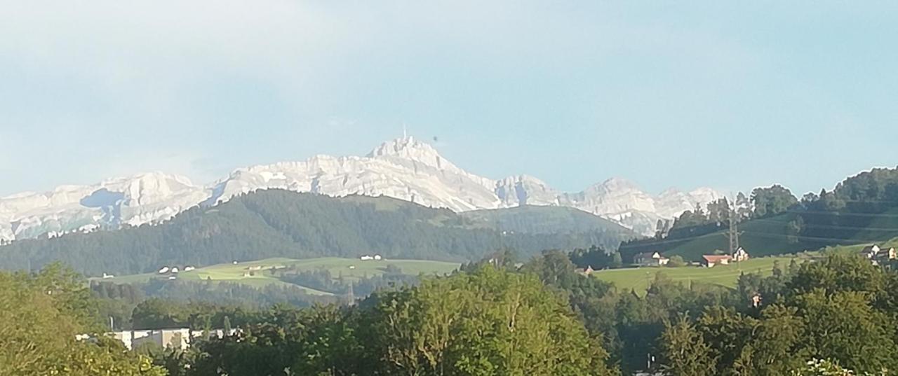 Billenberghof Apartamento St. Gallen Exterior foto